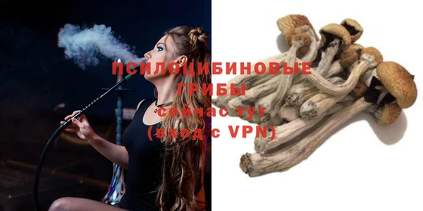 тгк Алексин